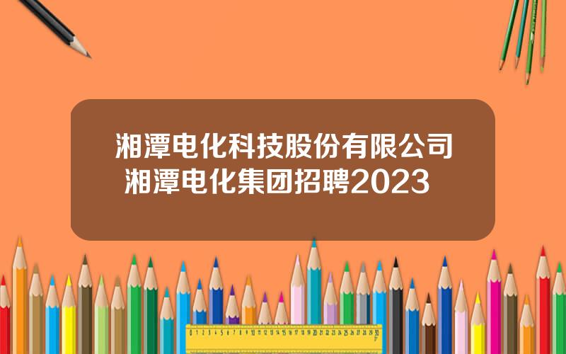 湘潭电化科技股份有限公司 湘潭电化集团招聘2023